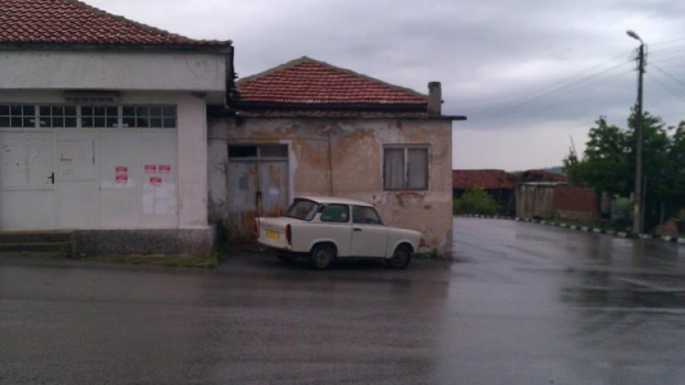 За Дивата ферма, тарпаните, Шенген и "дуфнатите валички" с любов
