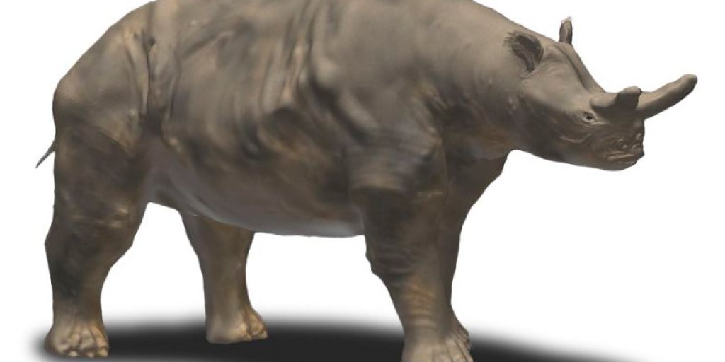 Megacerops_BW