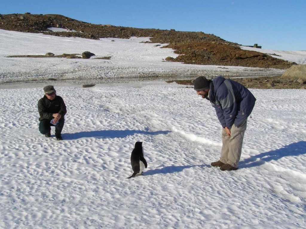 1280px-AntarcticaSummer