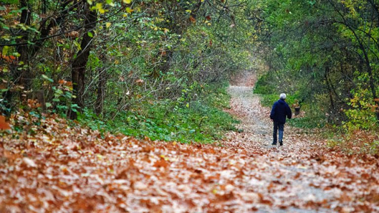 Повърви с нас по зелено. Идва асфалт
