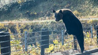Рекорден брой загинали при нападения в страната
