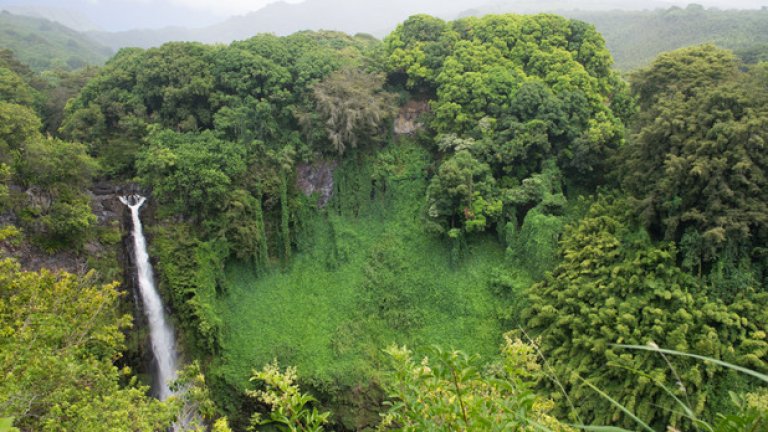 Запознайте се с Хавай