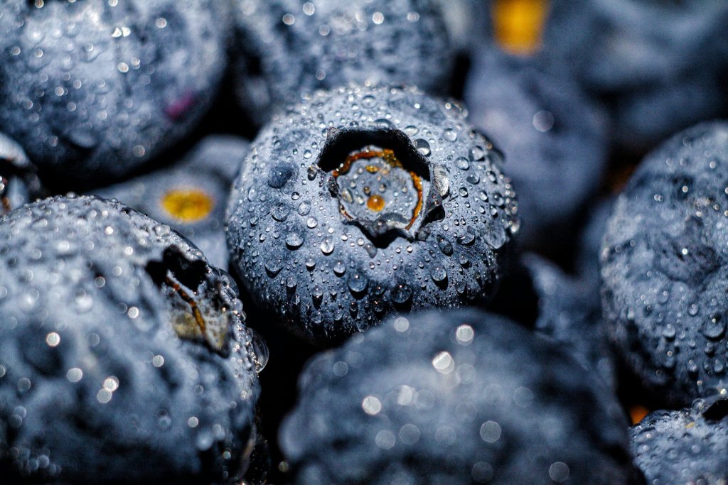 dina-nasyrova-Nc5M3JN8_40-unsplash