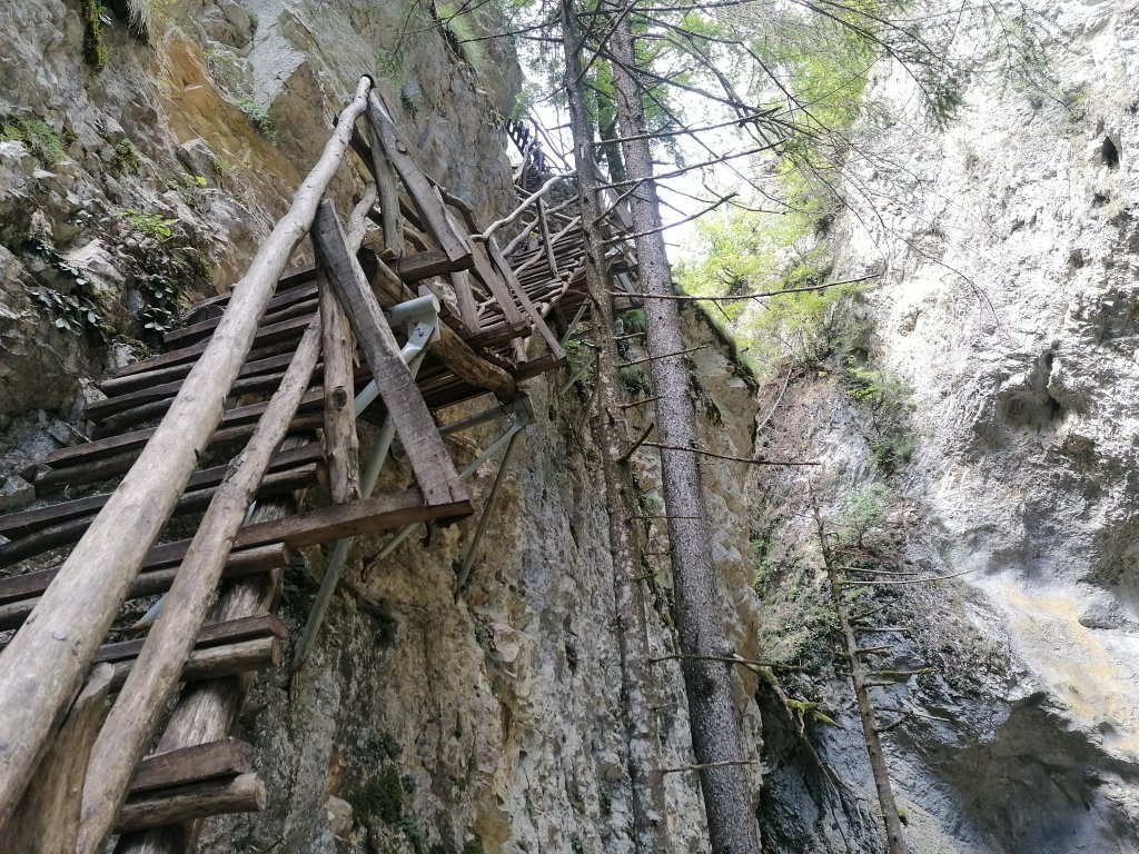 В продължение на километър и половина пътеката е равна и много приятна за ходене. В края ѝ ще стигнете до Златната върба, където през миналия век случайно са открити 157 турски монети. Точно след нея идва същината на маршрута, а слизането по няколкото дървени стълби води до свода на Дяволския мост.