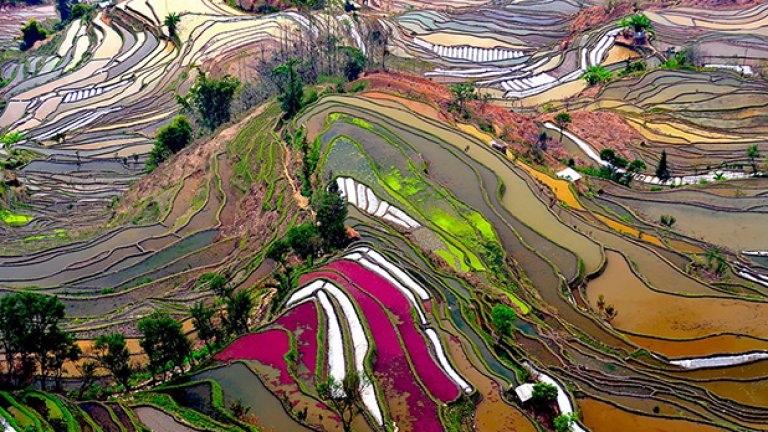 Терасирани оризови полета, Китай