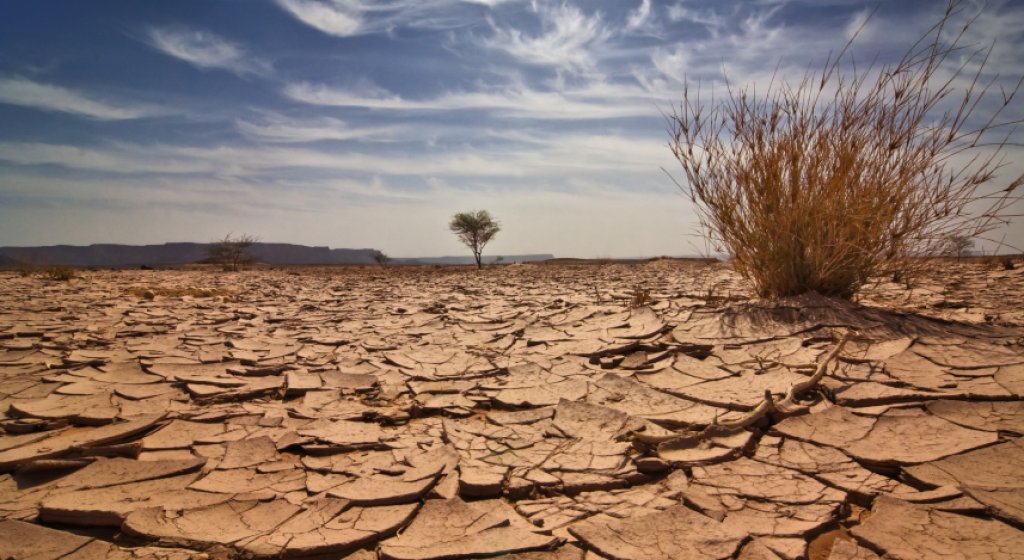 iStock_000004997333Small