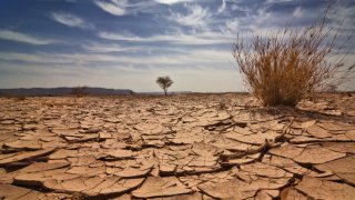 iStock_000004997333Small
