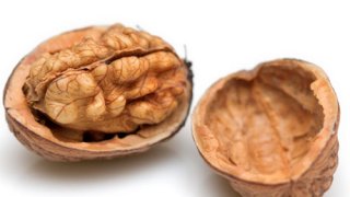 22100414-walnuts2