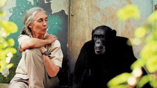 Светът изгуби Джейн Гудол