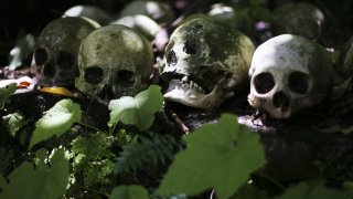 Канибализмът на Назинската трагедия успява да шокира дори и Кремъл