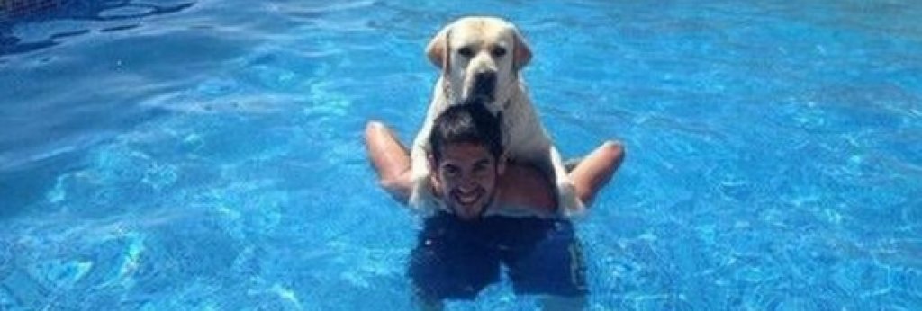Иско заяви, че е кръстил кучето си Меси, защото той е най-добрият в света - също като кучето му.
