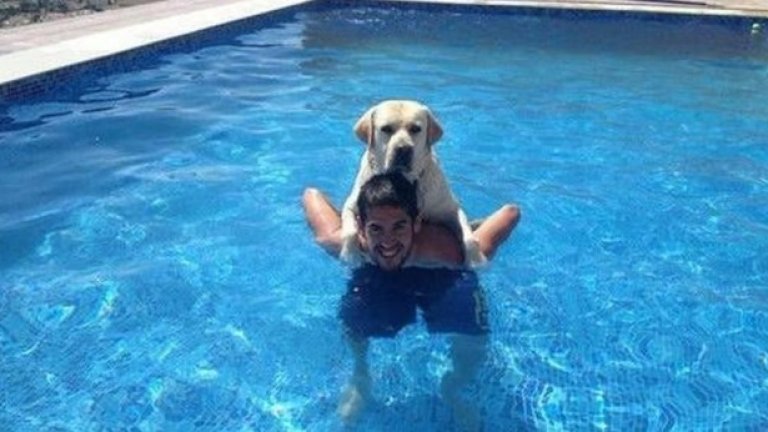 Иско заяви, че е кръстил кучето си Меси, защото той е най-добрият в света - също като кучето му.
