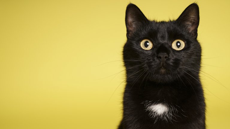 Лошият петък 13-и: културният произход на една набедена дата