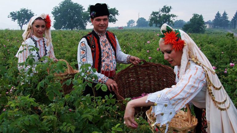 Помирисвал ли си българска роза