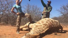 Аряна Гурдин е едва на 12 години, но зад гърба си вече има десетки вълнуващи ловни изживявания, за каквито опитни ловци могат само да мечтаят. 