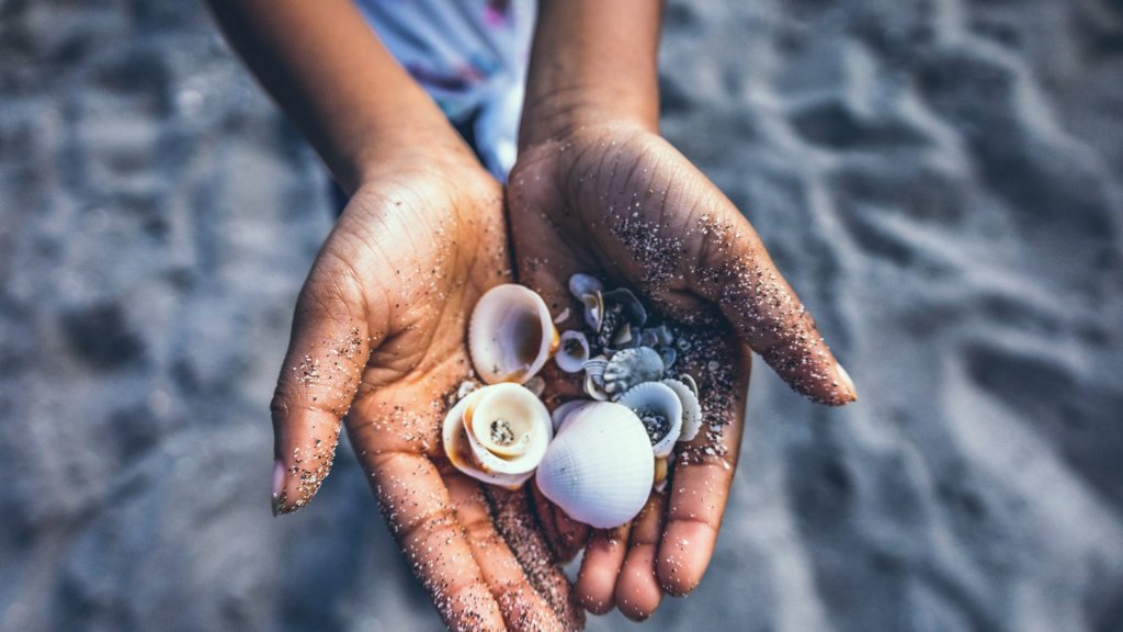 javel-williams-QbrQwKpKQRc-unsplash