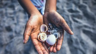 javel-williams-QbrQwKpKQRc-unsplash