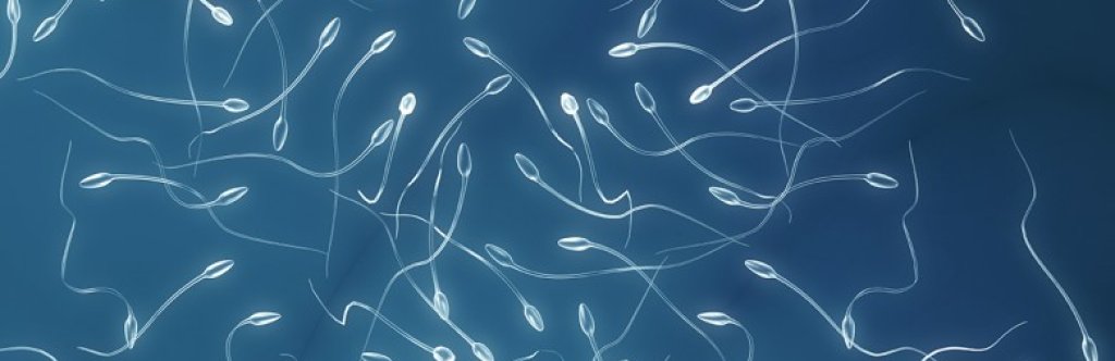 What-does-sperm-donation-involve-780x332