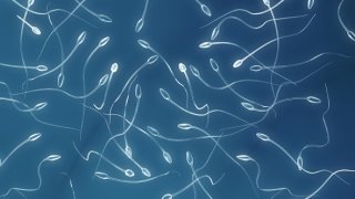 What-does-sperm-donation-involve-780x332