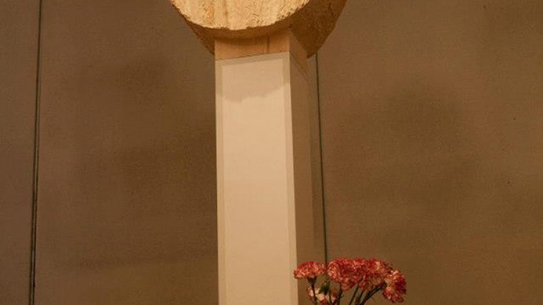 Дървото на живота