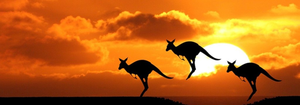 kangaroo-sunset-animals-iphone-ipad_250744
