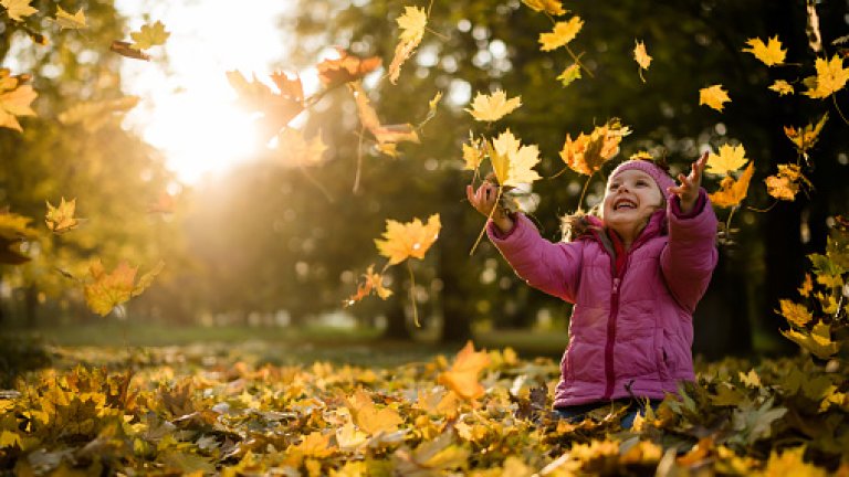 Joyous little girl throwing up autumn leaves