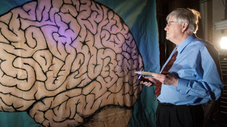 Учените работят неуморно по разшифроването на човешкия мозък и са достигнали до някои изумителни открития