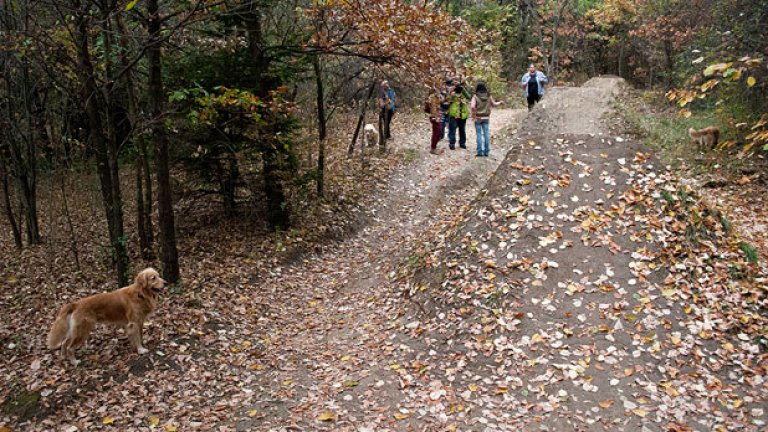 Повърви с нас по зелено. Идва асфалт