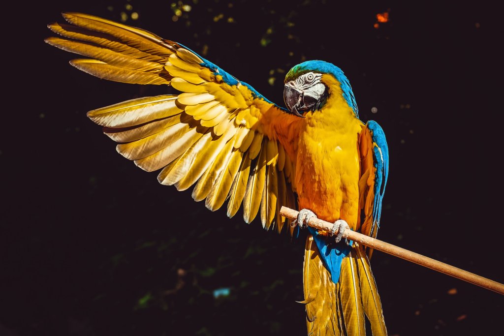 ilona-frey-0UKyrKCoutM-unsplash