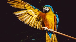 ilona-frey-0UKyrKCoutM-unsplash