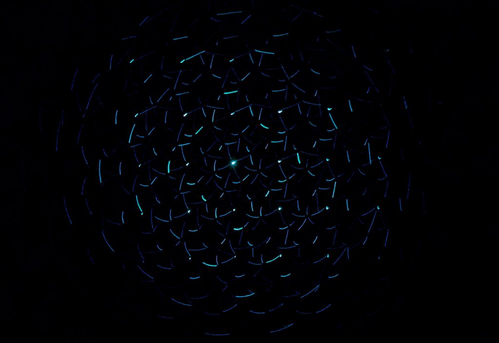 aron-visuals-bZZp1PmHI0E-unsplash