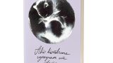 Какво би станало, ако котките изчезнат от света?