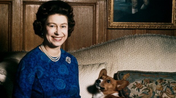 Любовта на кралицата към коргитата е добре известна. баща й Джордж Шести първи от кралското семейство си купува такова куче през 1933 г. То се казва Дуки и става любимец на дъщерите му. Елизабет Втора получава първото си корги Сузан за 18-ия си рожден ден. Тя е имала повече от 30 такива кучета, много от тях са преки наследници на Сузан