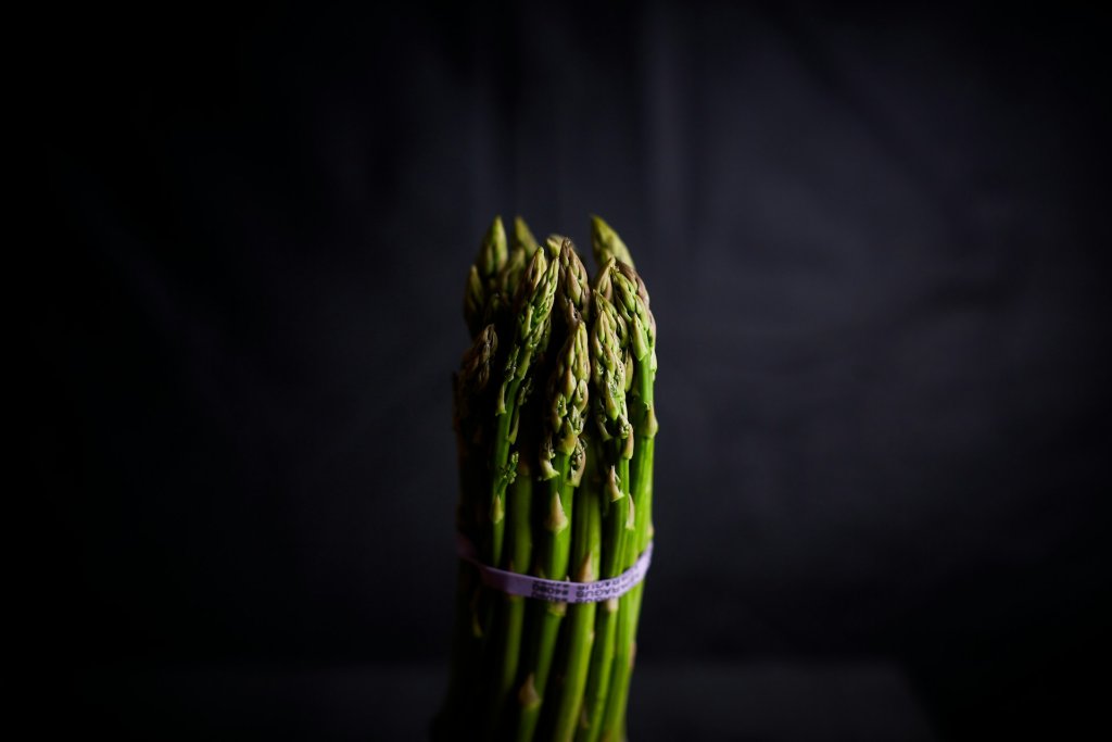 david-todd-mccarty-eZ_3MDjSIBY-unsplash