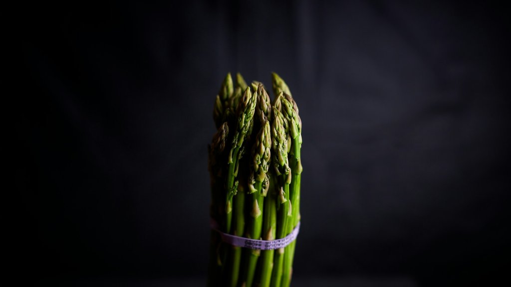 david-todd-mccarty-eZ_3MDjSIBY-unsplash