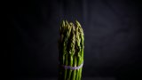 david-todd-mccarty-eZ_3MDjSIBY-unsplash