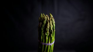 david-todd-mccarty-eZ_3MDjSIBY-unsplash