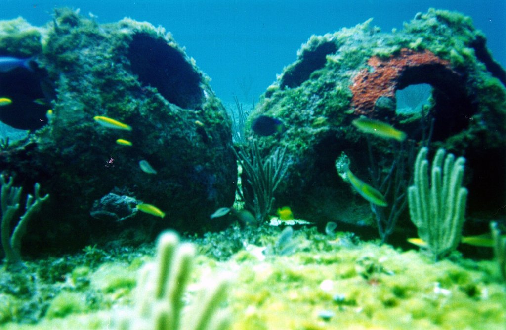 Cremated Remains Used To Help Create Artificial Reef