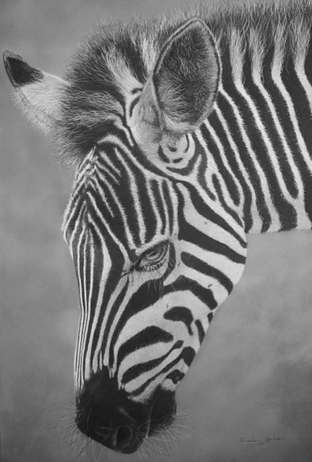 Тази зебра не е фотография