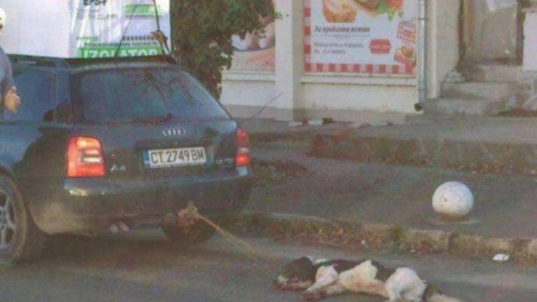 Притеснявал се, че ще го ухапе и затова го вързал за колата