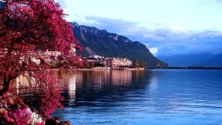 Geneva_front