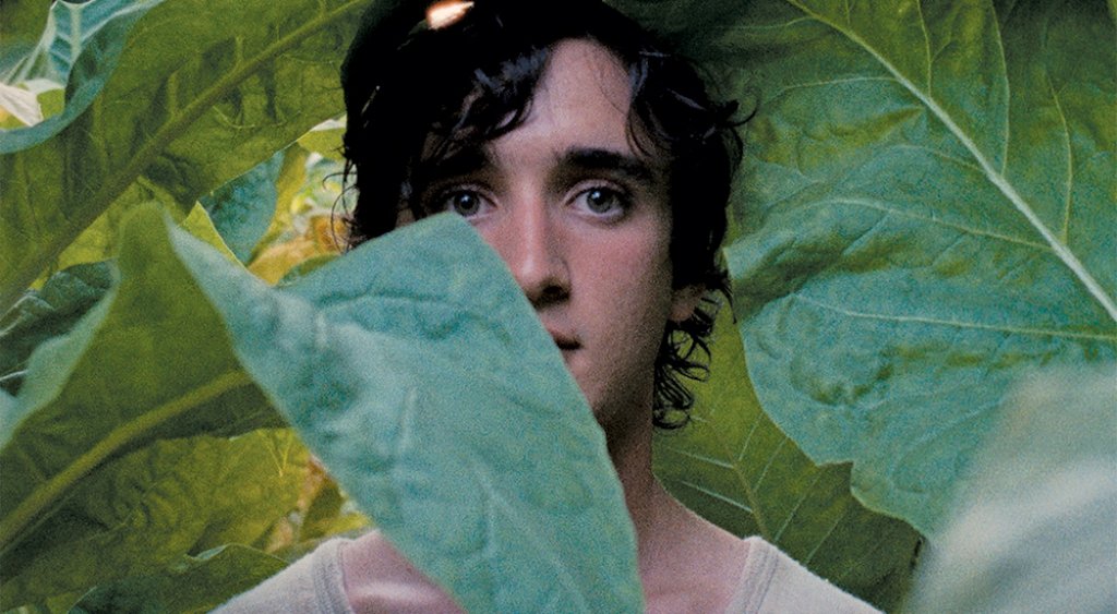 Единият носител на наградата за  най-добър сценарии - \"Happy as Lazzaro\". Алис Рорвахер стои на режисьорския пулт и пише сценария на тази история за свръхдобрия Лазаро и странните случаи, на които се натъква. 