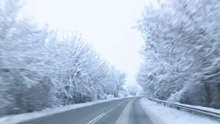 Ветровете ще са силни в цялата страна