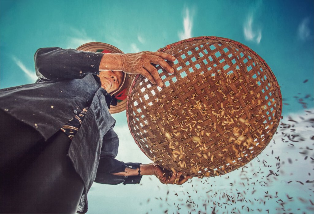 tuan-anh-tran-tHfJ3mevHi0-unsplash