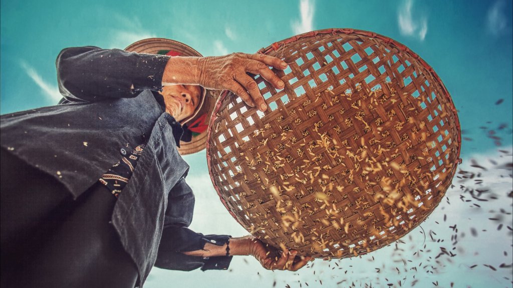 tuan-anh-tran-tHfJ3mevHi0-unsplash