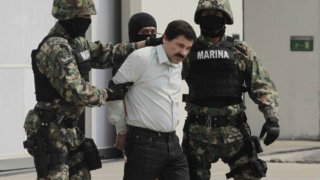 el chapo