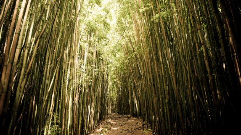 Запознайте се с Хавай