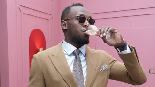 Очаквано предпочете големия си любимец