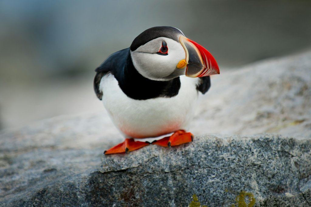 ray-hennessy-nI4OwVnz0dw-unsplash