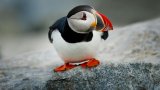 ray-hennessy-nI4OwVnz0dw-unsplash